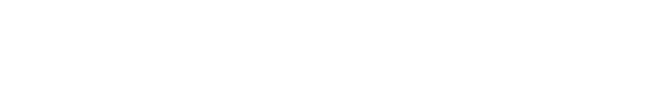 aijai partner - DataBricks